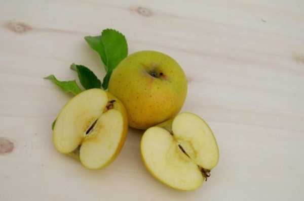 Produktfoto zu Apfel Gold Rush