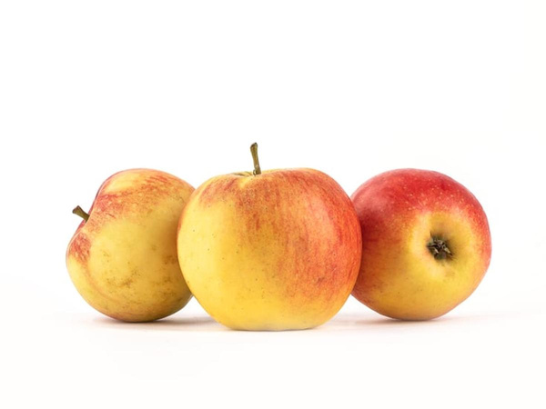 Produktfoto zu Apfel Jonagold
