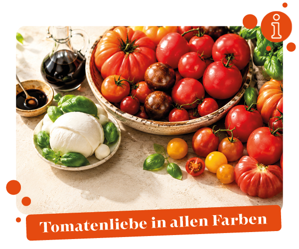 KI generiert: Verschiedene Tomaten und Mozzarella auf einem Tisch. Text: "Tomatenliebe in allen Farben".