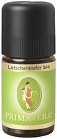 Latschenkiefer bio Ätherisches Öl