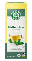 Pfefferminze