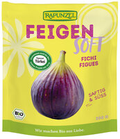 Feigen Soft, Projekt