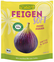 Feigen Soft, Projekt